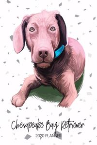 Chesapeake Bay Retriever 2020 Planner