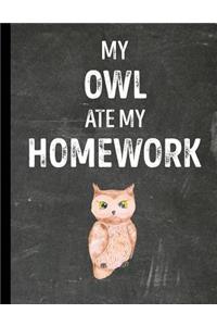 My Owl Ate My Homework