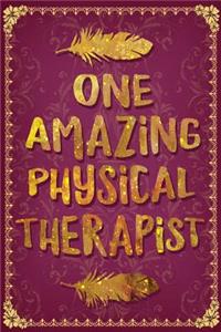 One Amazing Physical Therapist