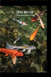 Lucky Koi Fish 3-Month Undated Calendar Planner