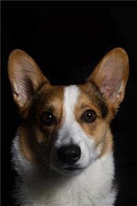 Corgi Notebook