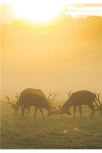 2019 Appointment Calendar