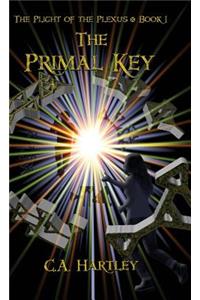 The Primal Key