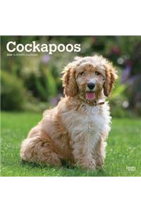 COCKAPOOS 2020 SQUARE WALL CALENDAR