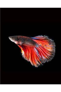 Daily Organizer and Planner