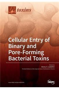 Cellular Entry of Binary and Pore-Forming Bacterial Toxins