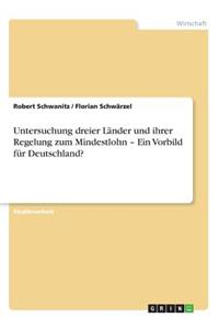 Untersuchung dreier Länder und ihrer Regelung zum Mindestlohn - Ein Vorbild für Deutschland?