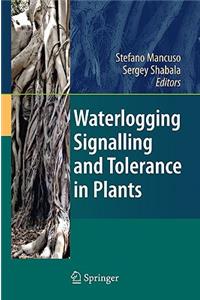 Waterlogging Signalling and Tolerance in Plants