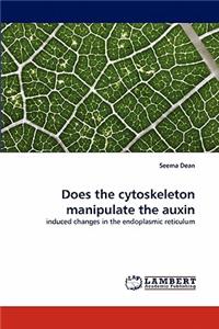 Does the Cytoskeleton Manipulate the Auxin