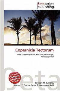 Copernicia Tectorum