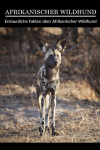 Erstaunliche Fakten über Afrikanischer Wildhund