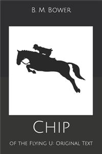 Chip