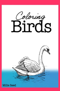 Coloring Birds