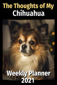 Thoughts of My Chihuahua