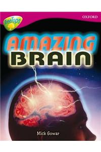 Oxford Reading Tree: Level 10A: TreeTops More Non-Fiction: Amazing Brain
