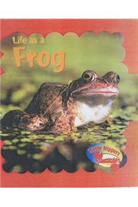 Little Nippers: Life as a Frog Paperback