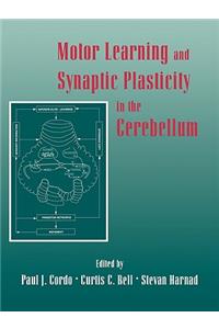 Motor Learning and Synaptic Plasticity in the Cerebellum