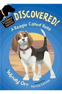 Discovered! a Beagle Called Bella