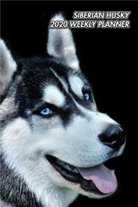 Siberian Husky 2020 Weekly Planner