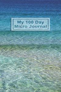 My 100 Day Micro Journal