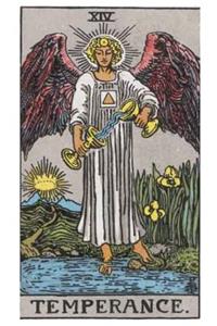 Tarot Notebook Journal - Temperance