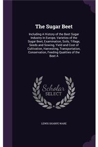 Sugar Beet