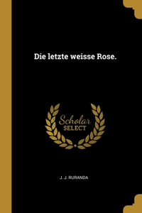 letzte weisse Rose.