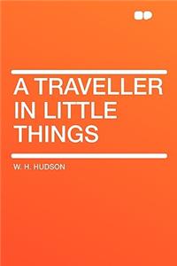 A Traveller in Little Things