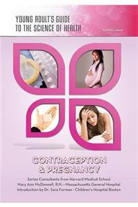 Contraception & Pregnancy