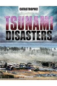 Tsunami Disasters