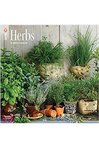 Herbs 2018 Calendar