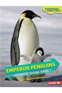 Emperor Penguins