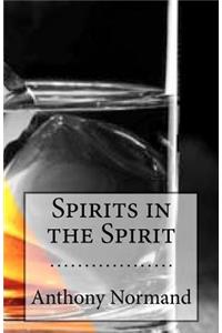 Spirits in the Spirit
