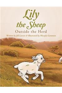 Lily the Sheep