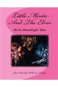 Little Minta and the Elves