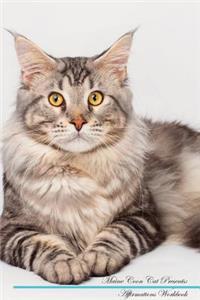 Maine Coon Cat Affirmations Workbook Maine Coon Cat Presents