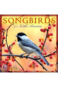 2019 Songbirds of North America 16-Month Wall Calendar: By Sellers Publishing