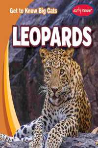 Leopards