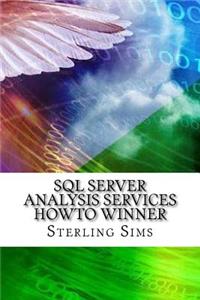 SQL Server Analysis Services HowTo Winner