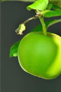 Yummy Green Apple Journal