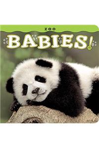 Zoo Babies!