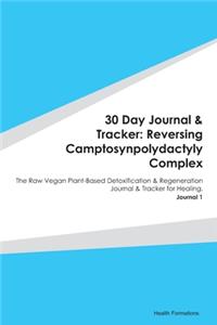 30 Day Journal & Tracker