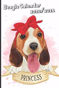 Funny Beagle Dog Daily Calendar 2020/2021