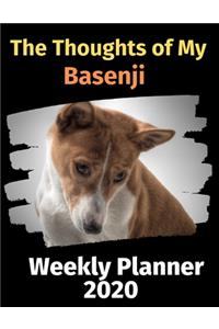 The Thoughts of My Basenji