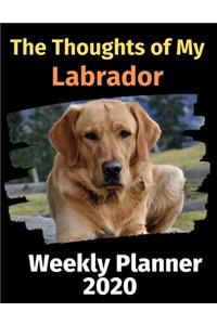 The Thoughts of My Labrador