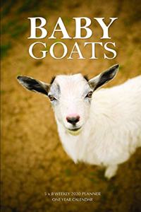 Baby Goats 5 x 8 Weekly 2020 Planner