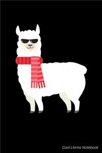 Cool Llama Notebook