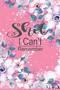 Shit I Can't Remember