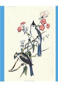 Vintage Birds and Pink Flowers Journal
