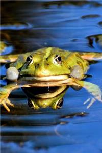 Say Hello to the Water Frog Journal